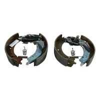 Knott Bremsbelagsatz radbremse Typ 20-2425/1 200x50...